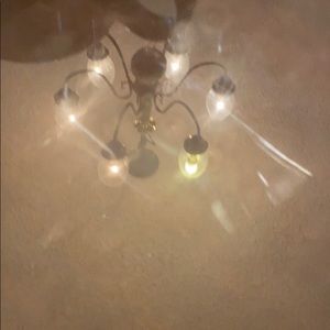 Meet your Posher, Roberto